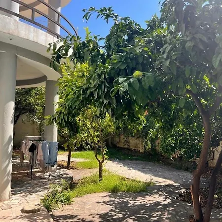 住宿加早餐酒店 Istanbul *